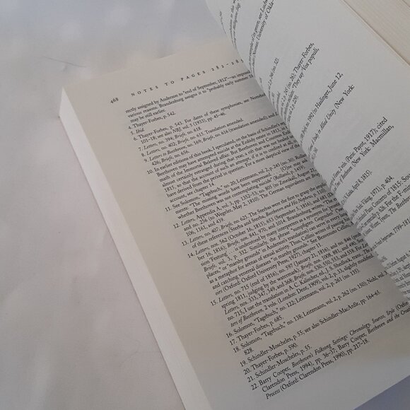 Beethoven PB Book Maynard Solomon Classical Music Piano Symphonies Photos - Picture 10 of 14